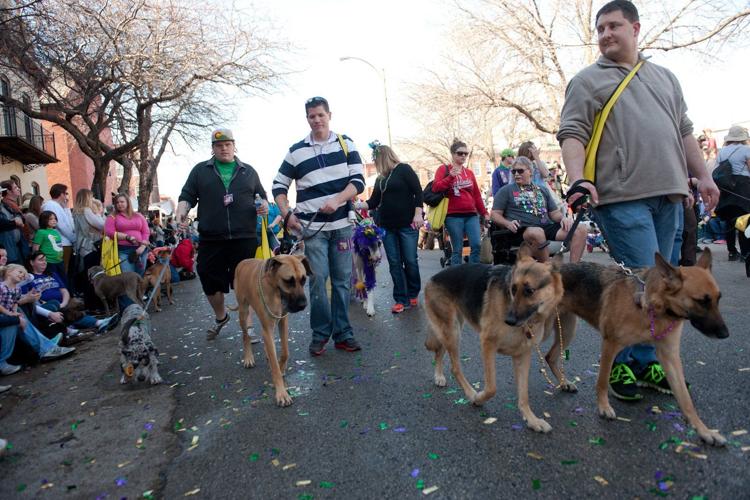 Thousands turn out for Soulard pet parade