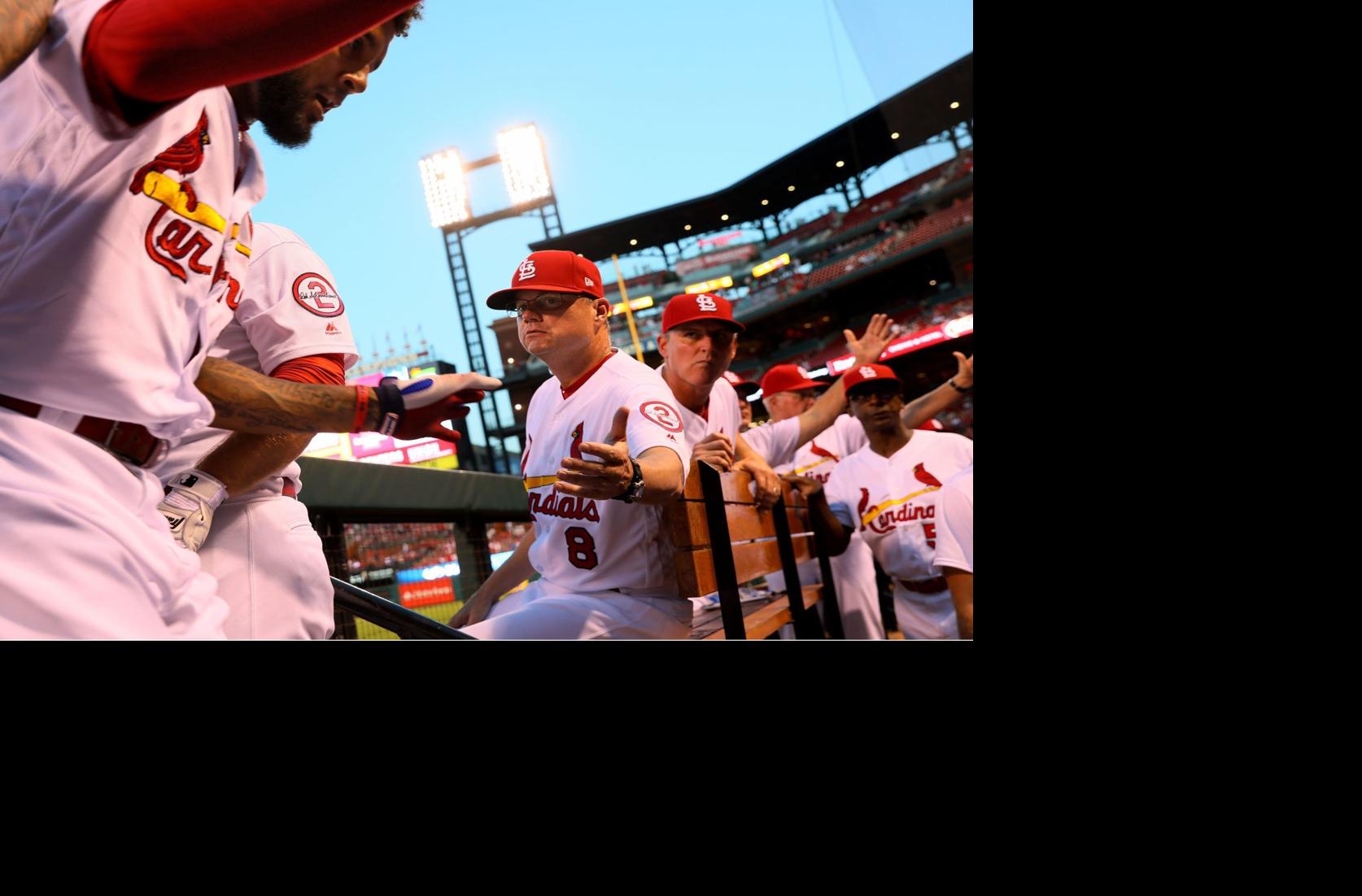 Shildt Feels A Rightful Buzz About 2019 Season As Winter Warm Up Arrives St Louis Cardinals Stltoday Com