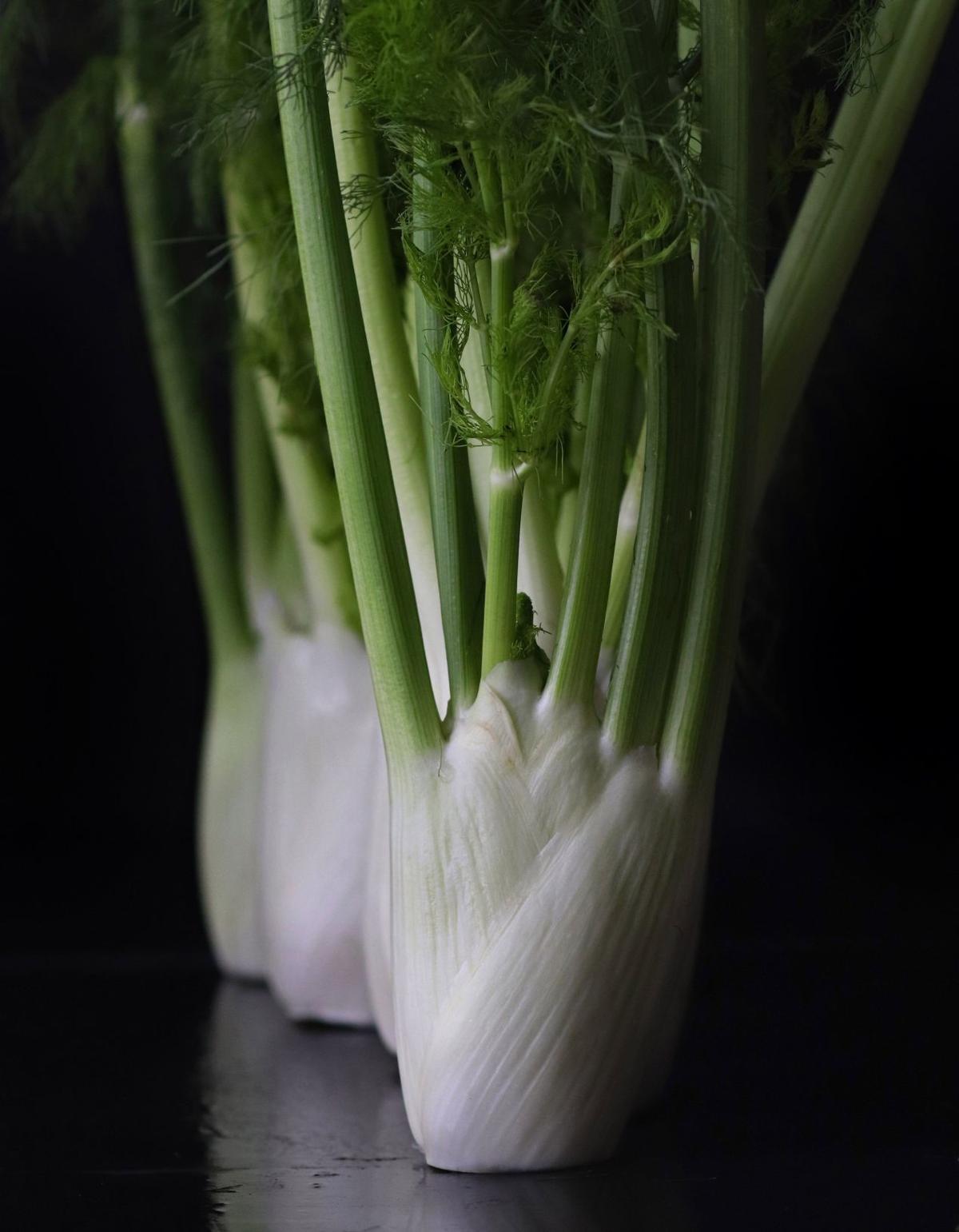 Fennel Fronds with benefits Food and cooking