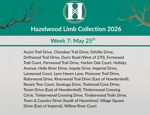 2026 Limb Collection - Week 7