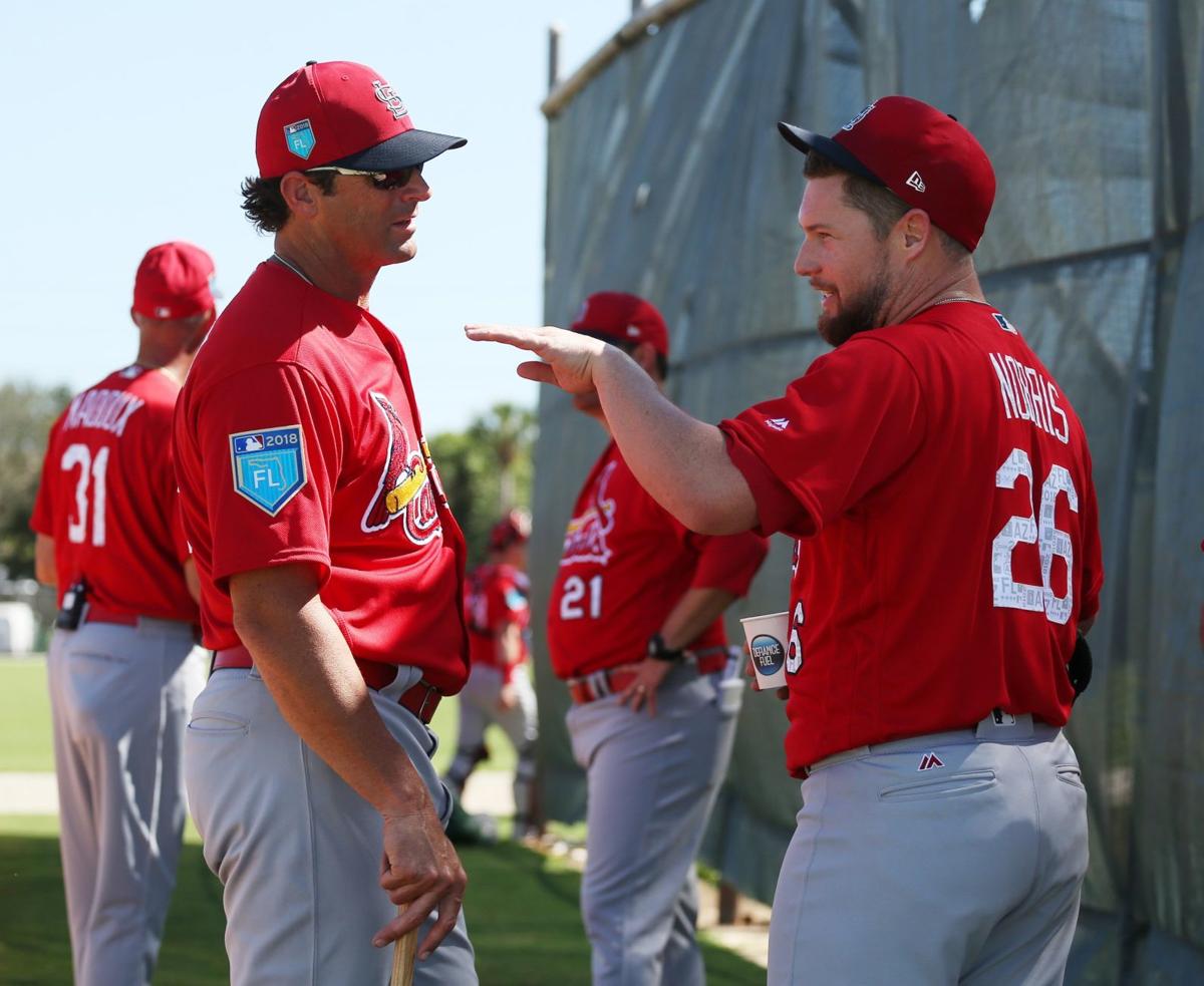 Cardinals spring training