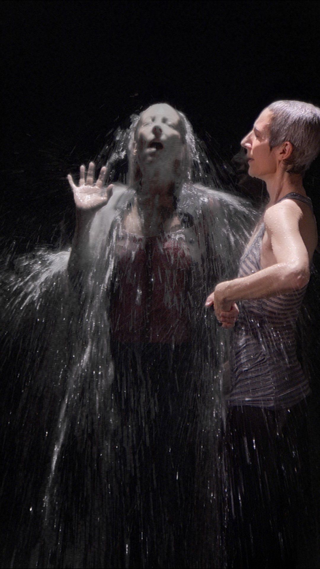 Artist Bill Viola explores life, death in video installation Arts and