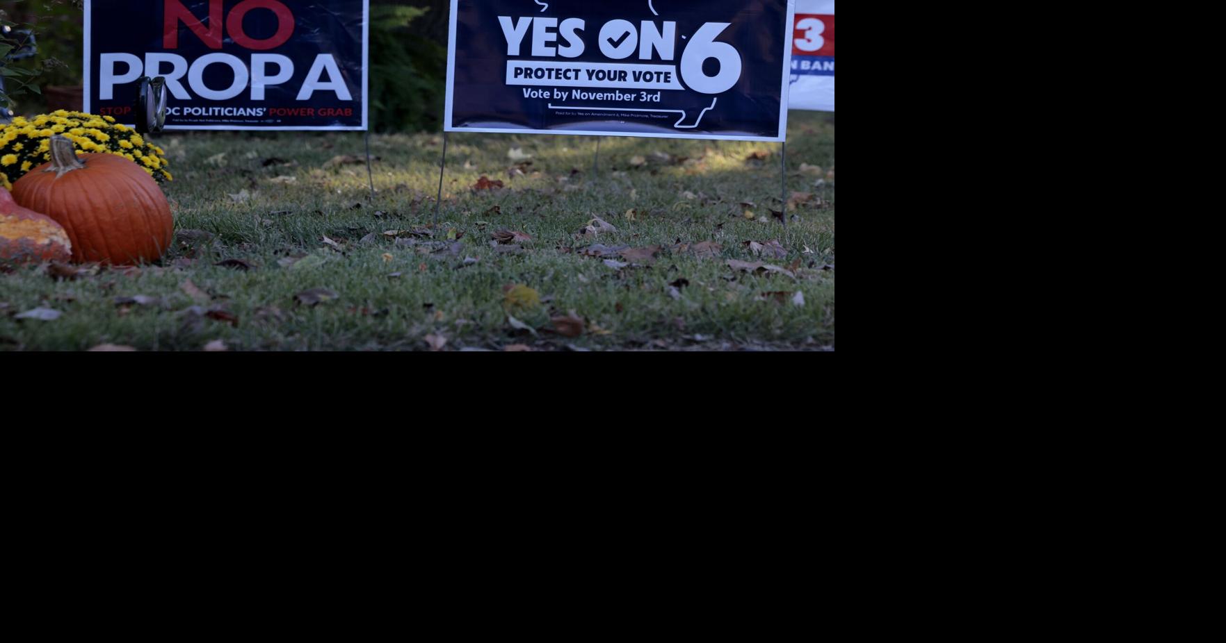 261018_LS_POLICITAL_SIGNS_01.JPGSTL1050208547