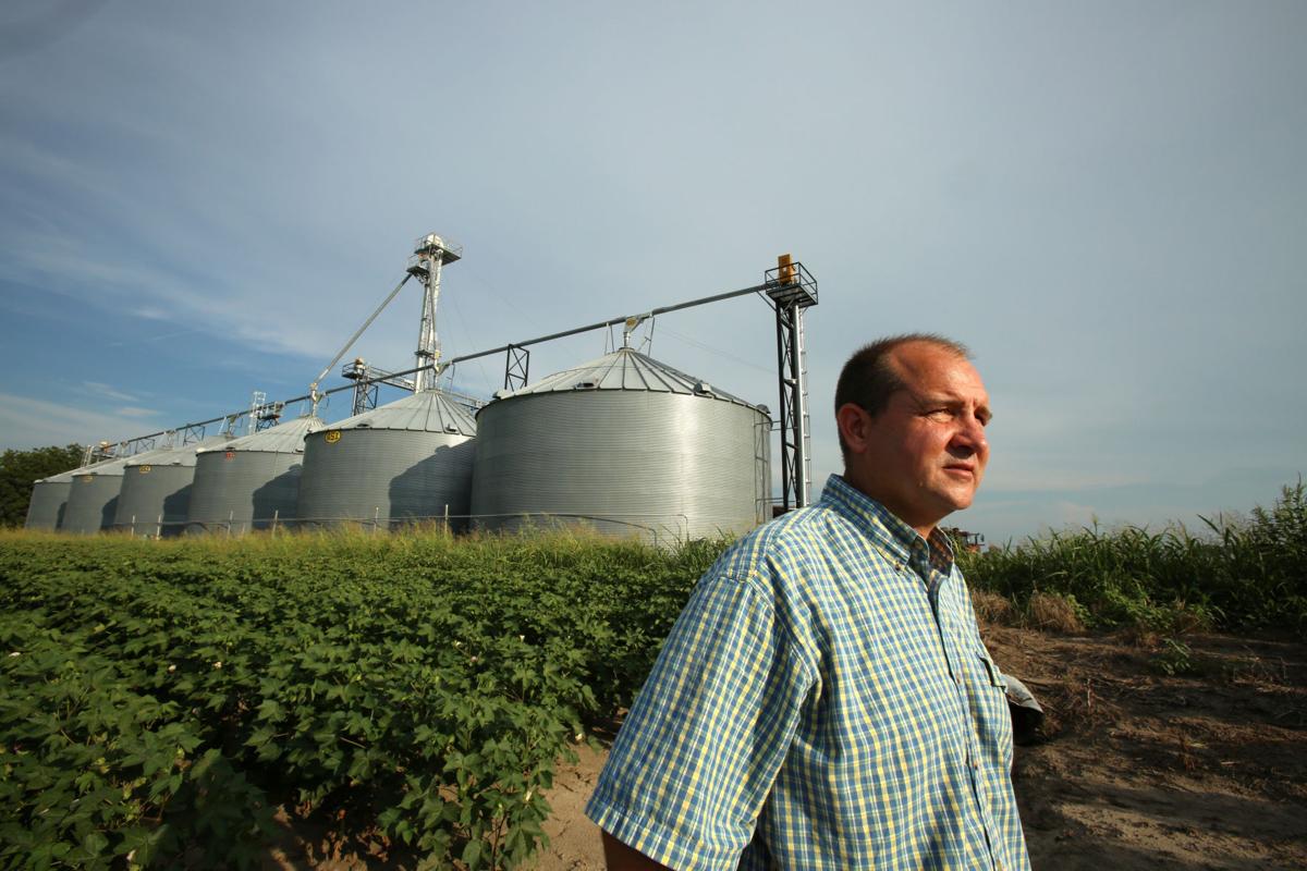 John Weiss looks over his damaged crop on his farm in Dell