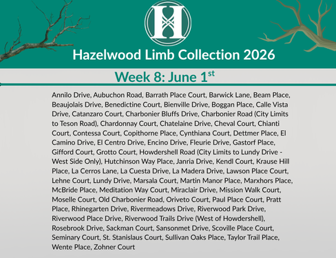 2026 Limb Collection - Week 8