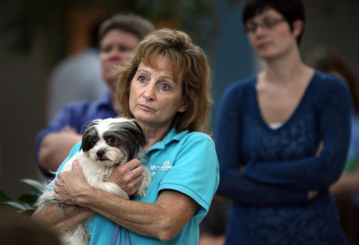 State Officials Outline Missouri S New Dog Breeding Law Metro Governor Attorney General Announce New Resources To Fight Unlicensed Dog Breeders