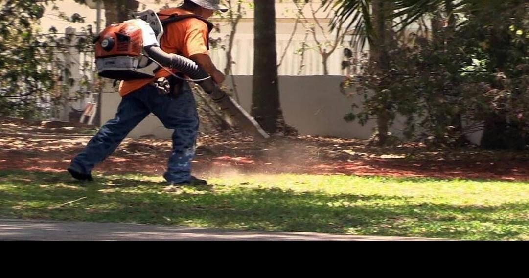 Michigan city bans gaspowered leaf blowers, citing noise and pollution