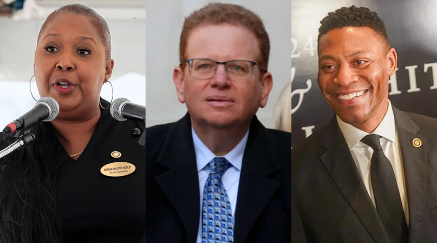 County executive primary