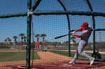 Cardinals spring training on Feb. 20
