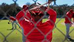 Cardinals spring training on Feb. 20