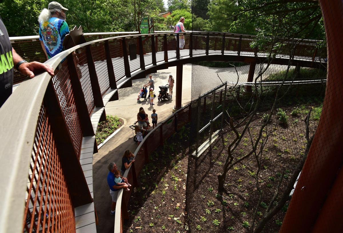 Photos Primate Canopy Trails at St. Louis Zoo opens to the public