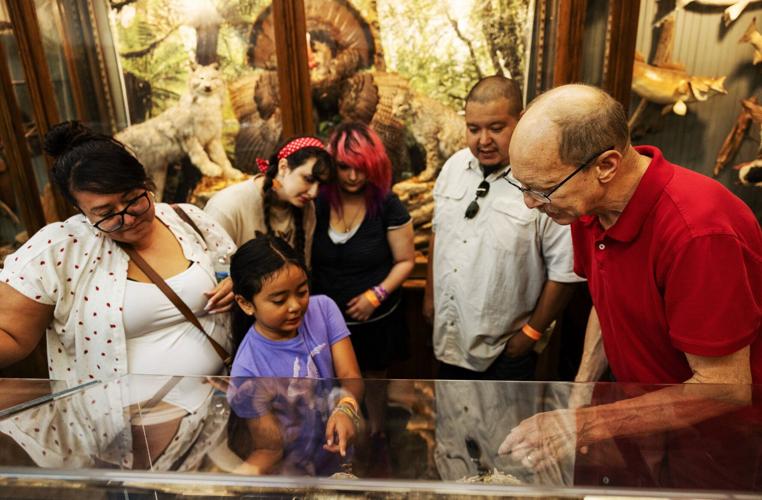 The amateur entomologist behind the City Museum’s insect collection