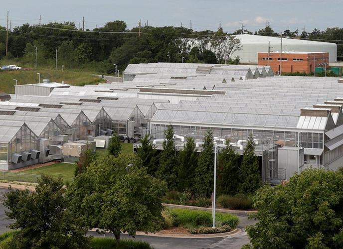 Nicklaus: Danforth Center makes a push to encourage ag startups