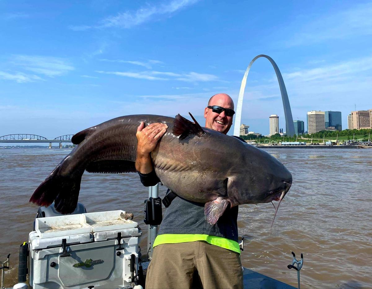 world record flathead catfish noodling