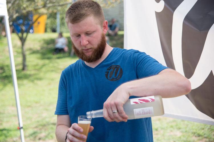 Mojo Craft Beer and Music Festival at Jefferson Barracks Park