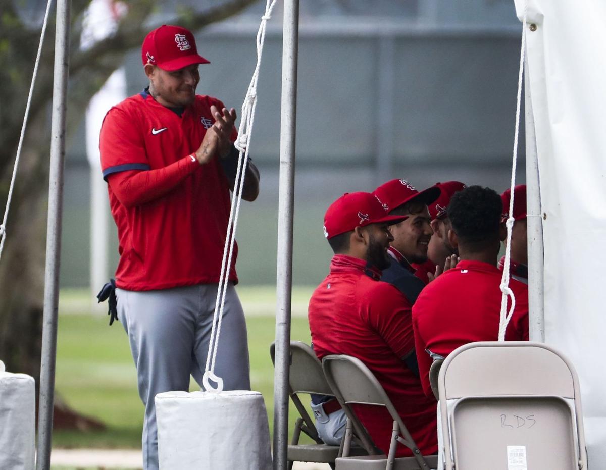 Cardinals honor Mike Shannon and Tim McCarver, who shared bonds on and off  the field