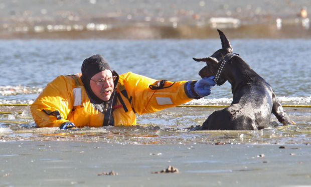 Fire Dept. Rescues dog from lake in O'Fallon Park
