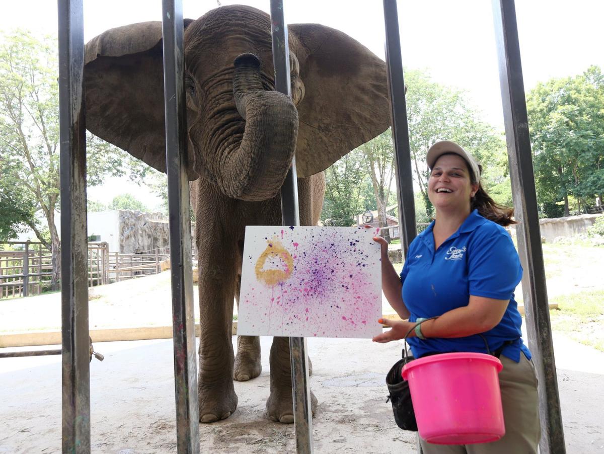 Grant&#39;s Farm will no longer house elephants after all four of them die within months | Metro ...