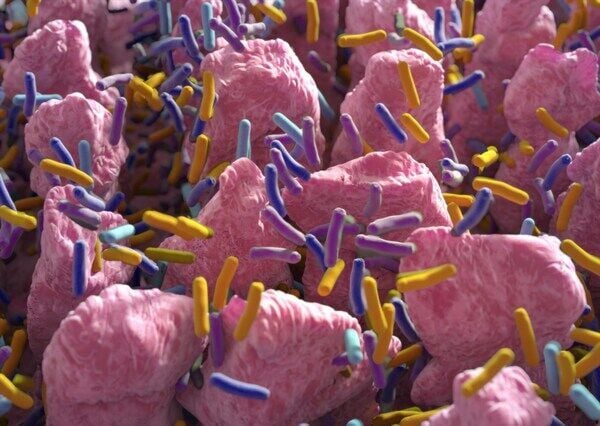 Purina Institute Drives the Conversation on Microbiome Innovation in Veterinary Medicine