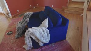 At Home with Stacey Albin-Wilson and Jon Wilson in Pasadena Hills