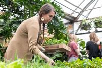 Nurseries Go Curbside Plant Stores Salvage Spring Local Business Stltoday Com