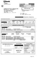 SLPS credit card statements