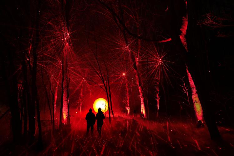 A fresh look at nature through Light Cycles