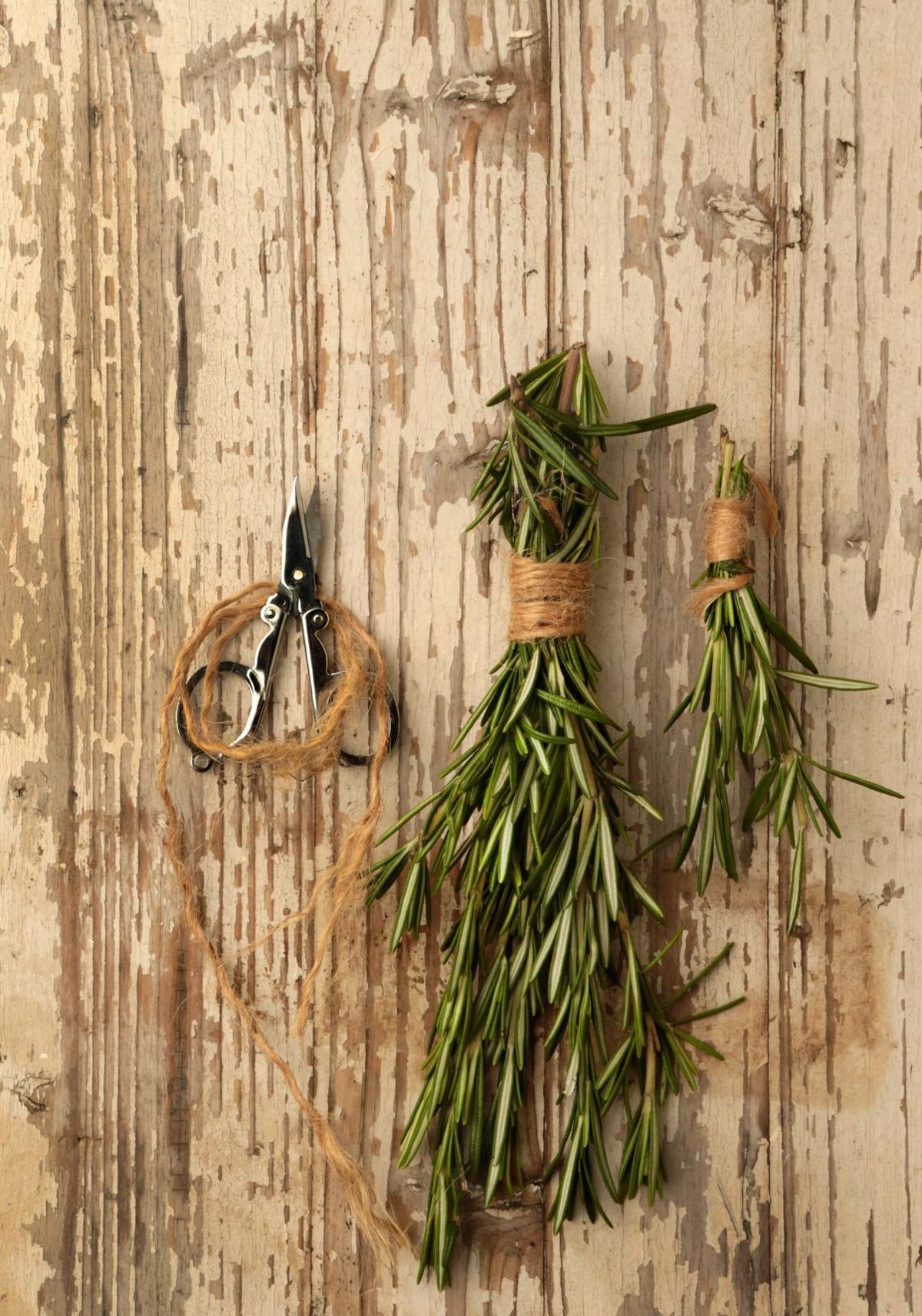 Cooking with rosemary This is no delicate herb Food and cooking