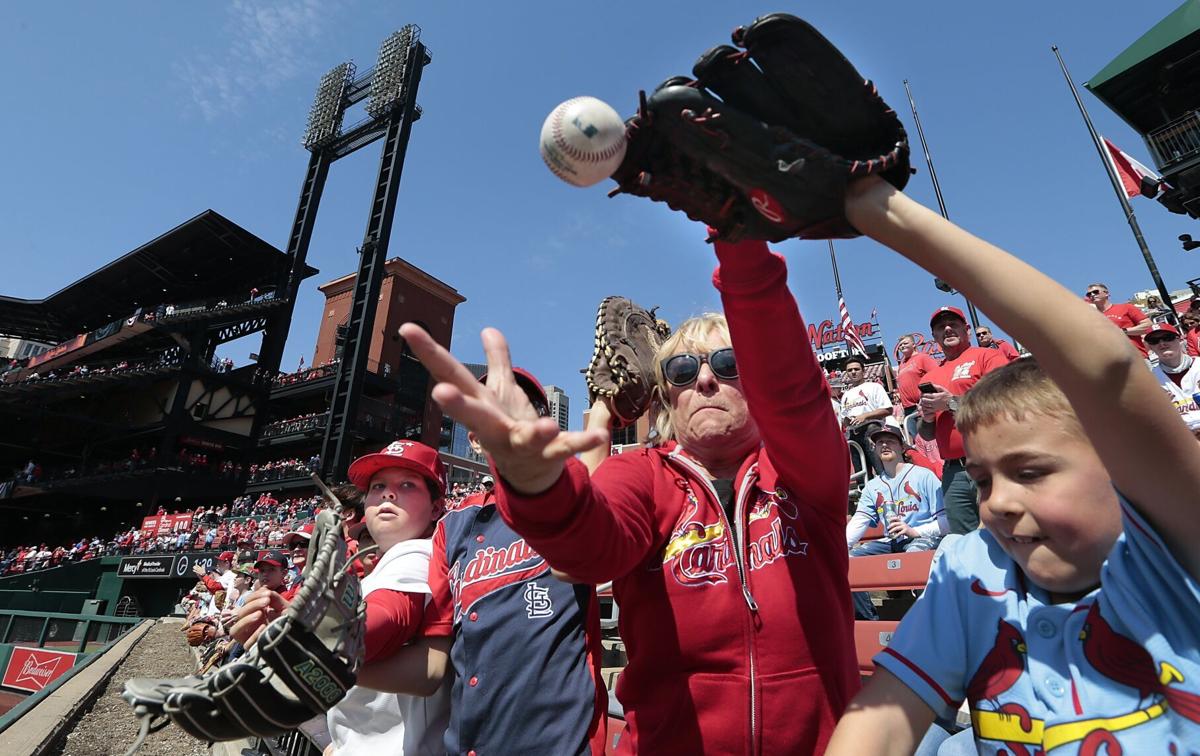 St. Louis Cardinals salute squirrel on rings - ESPN - Fandom