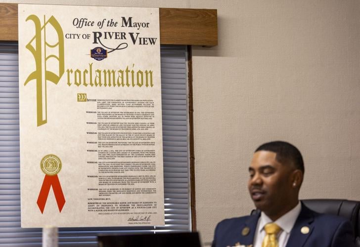 City of Riverview Mayor