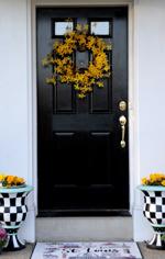 At Home with Arina Lanis and Steve Neumann in Town and Country