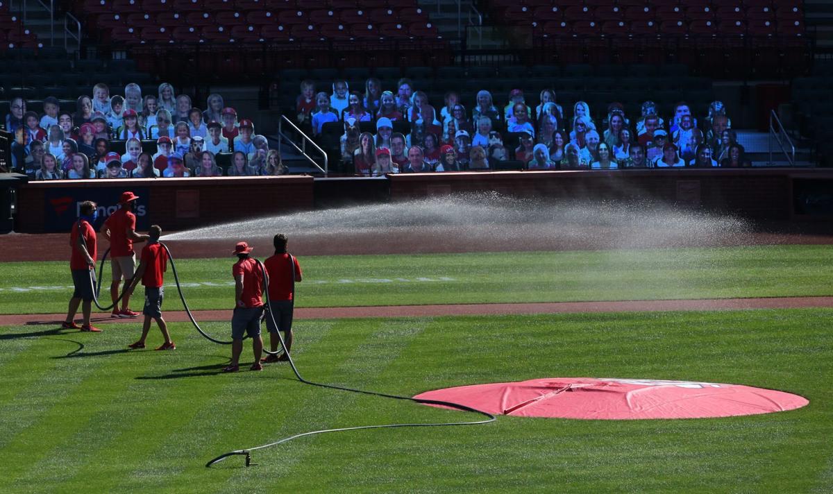 Tonight's Cardinals game postponed