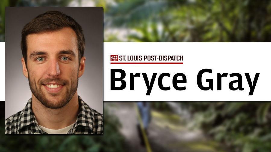 Bryce Gray's most memorable stories of 2020: Bat poop, 'orphaned' plants and animals, buses