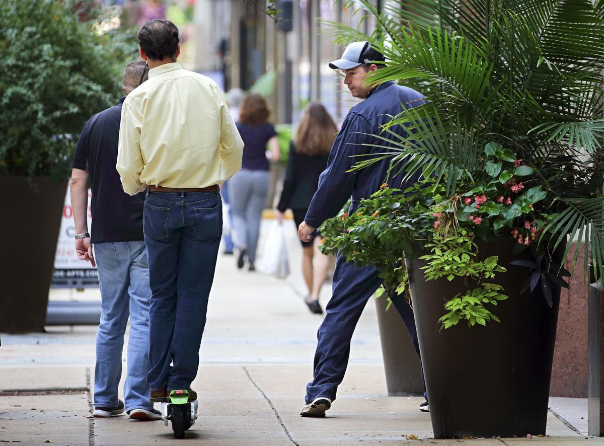 St Louis Zoo Motorized Scooter IUCN Water