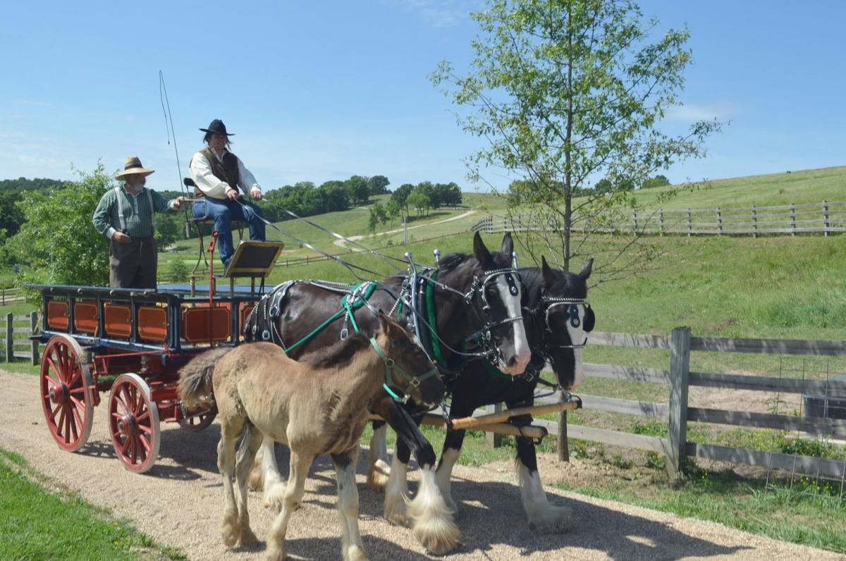 Dierberg family's Hermann Farm and Museum opens for tours Travel