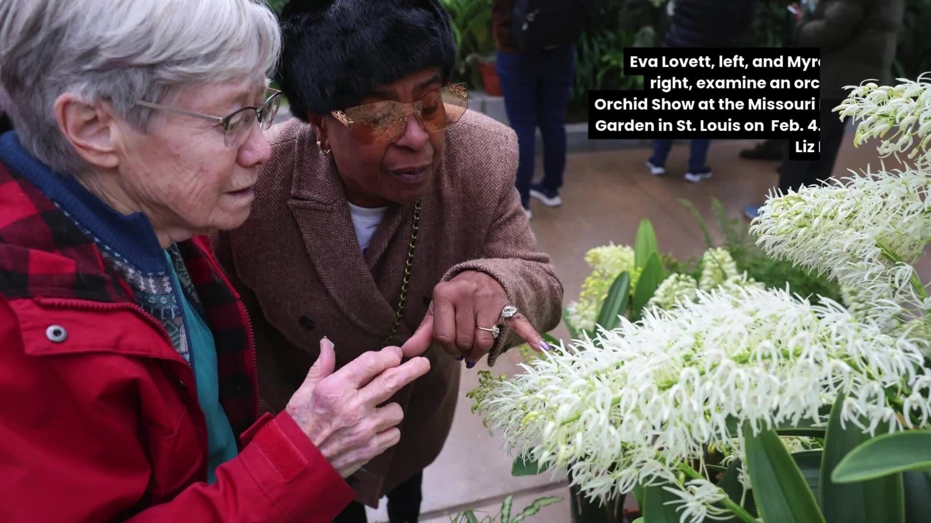 stltoday.com - Jasmine Osby | Post-Dispatch - 7 professionals powering St. Louis' music scene