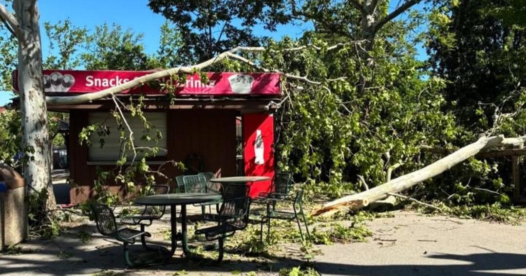 St. Louis Zoo to reopen Monday after storm damage cleanup