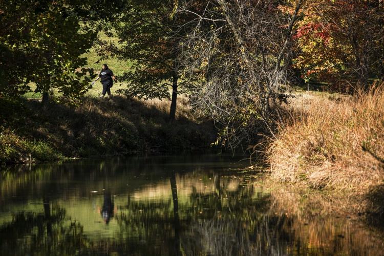 Falls colors transform St. Louis