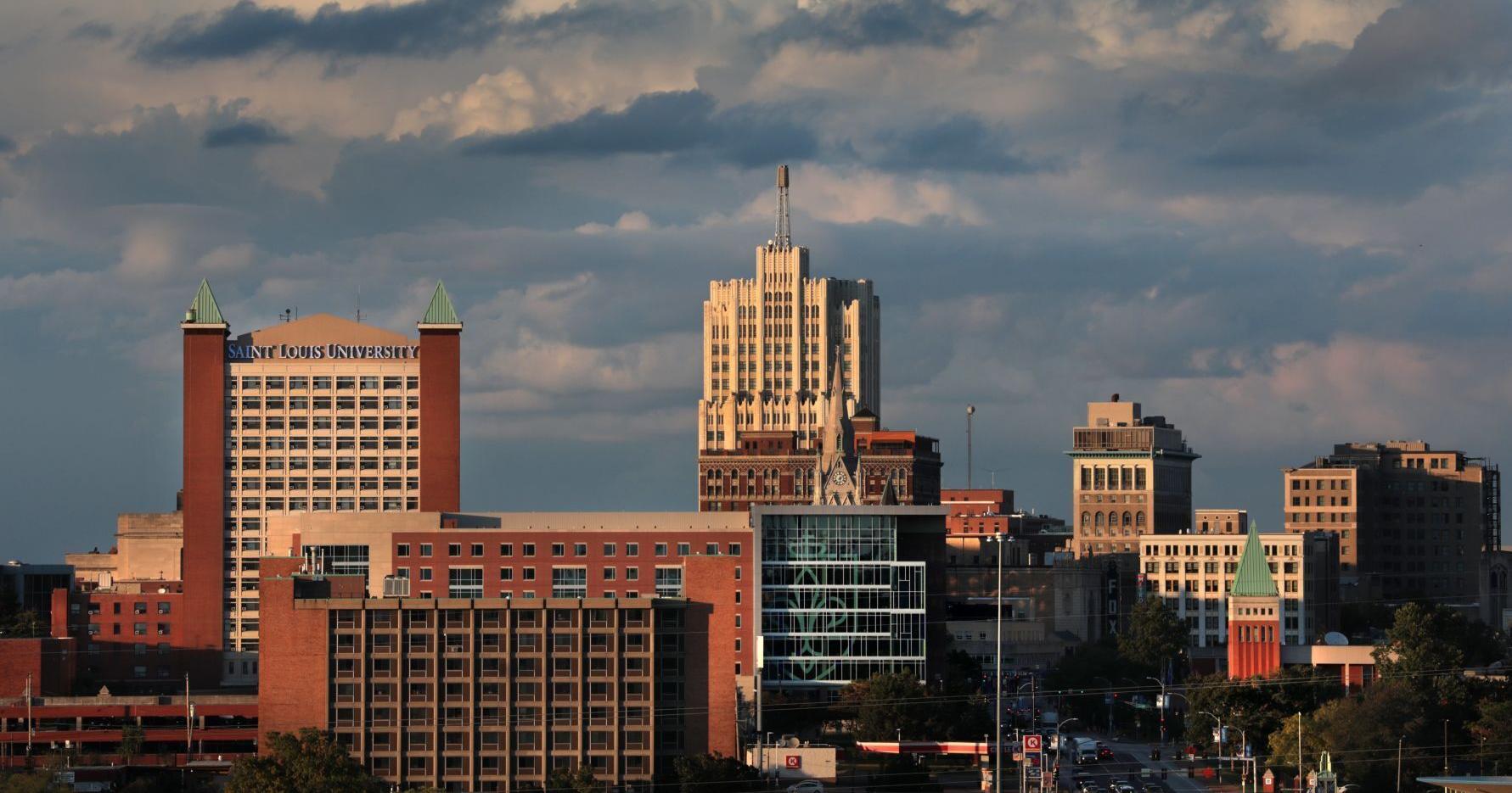 SLU recruits Washington U professor to lead business school - Vimarsana News
