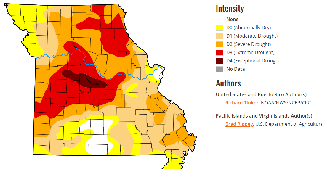 Missouri drought pushing ranchers to sell off cattle - Vimarsana News