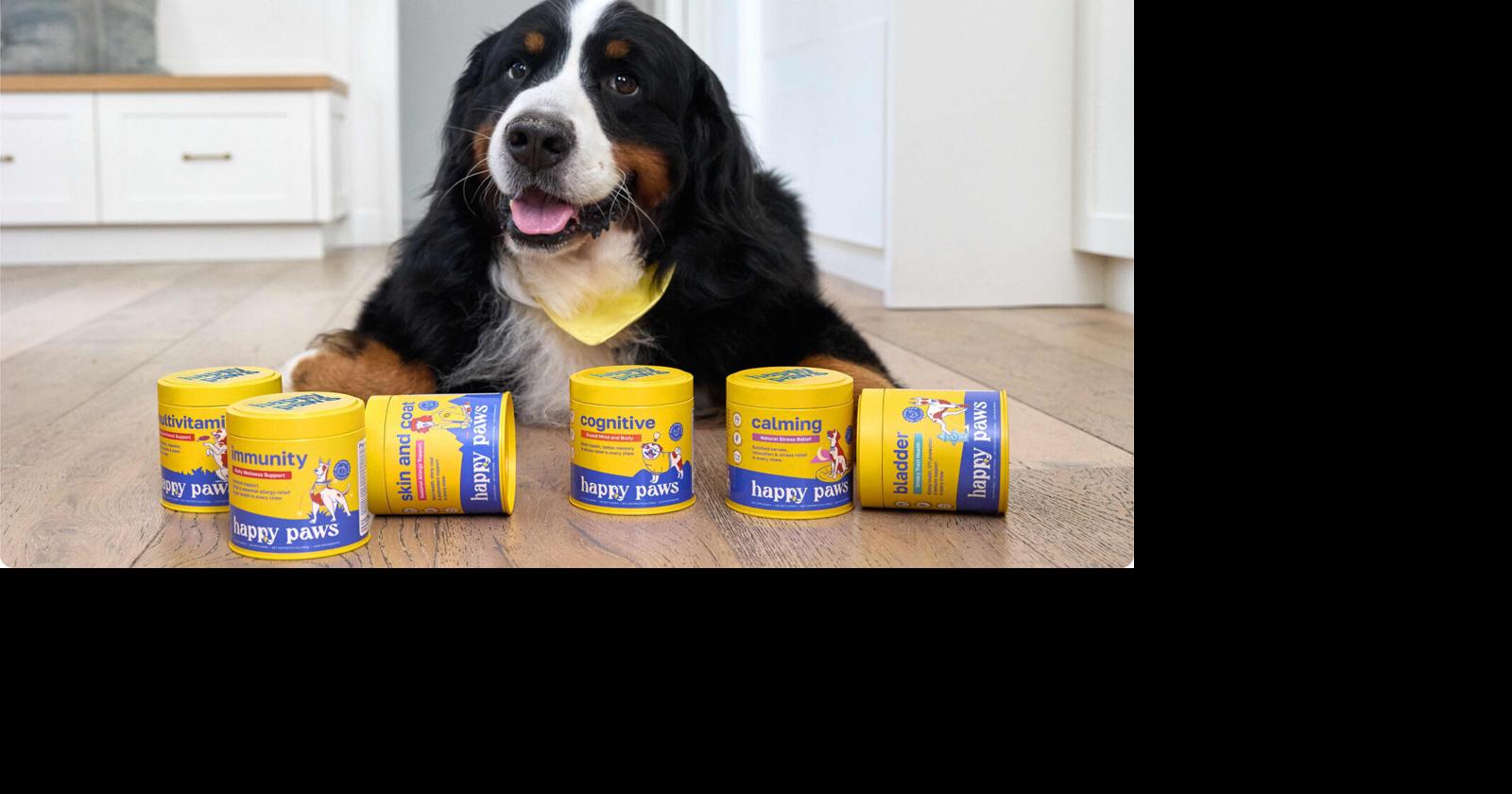 An Owner’s Guide to Dog Supplements & Vitamins