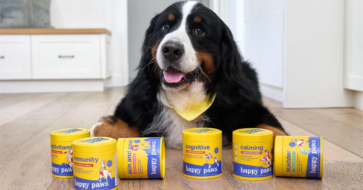 An Owner’s Guide to Dog Supplements & Vitamins An Owner’s Guide to Dog Supplements & Vitamins
