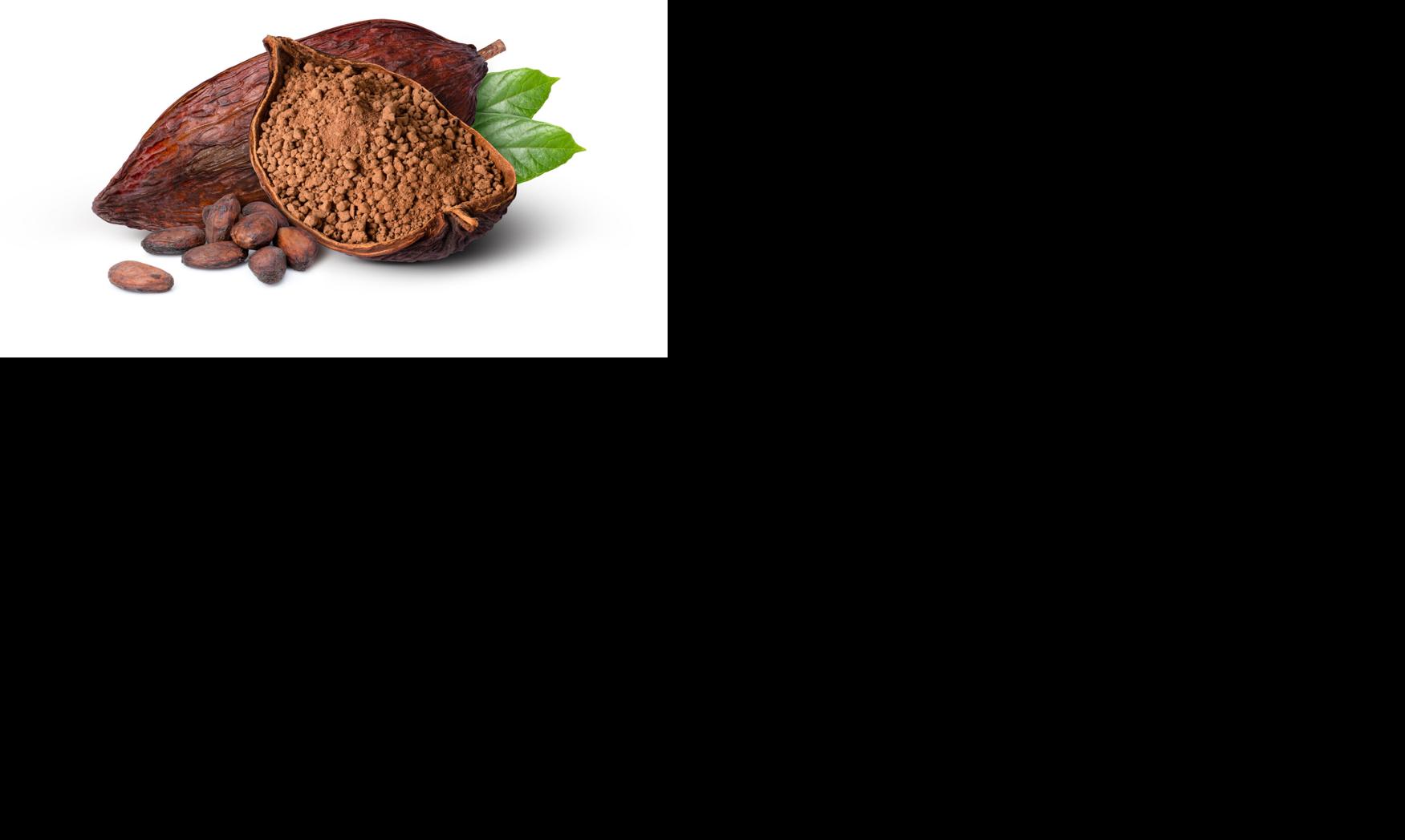 Cocoa powder