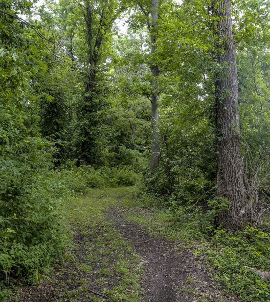 Walker's Island Trail Health