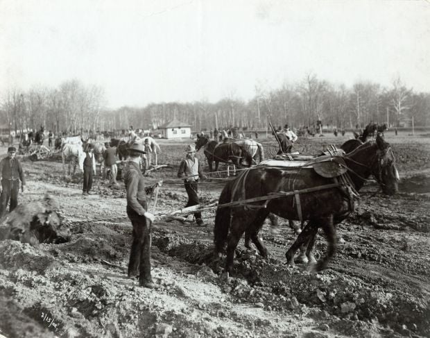 Horsepower helps clear fairgrounds