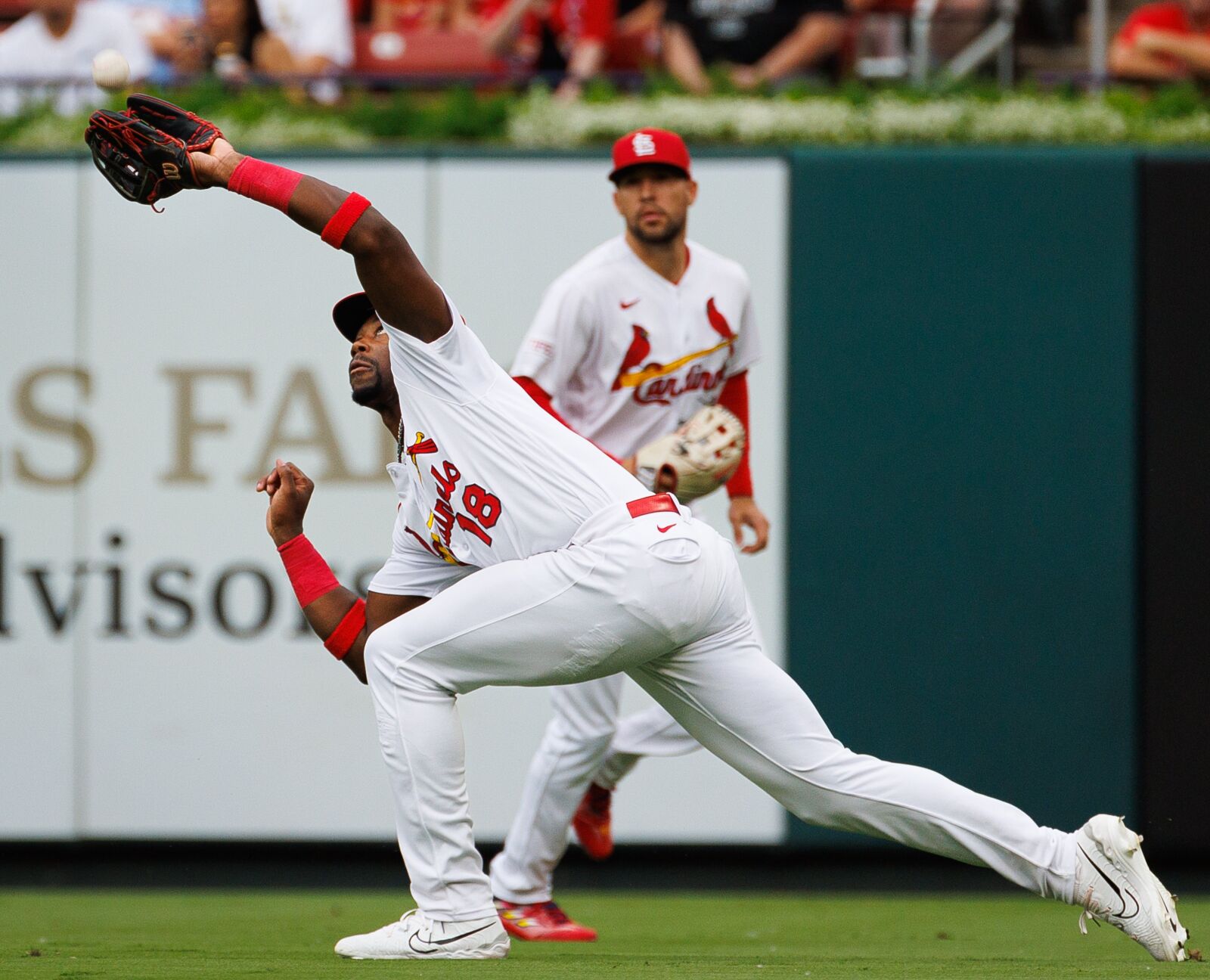 In first full year as outfielder, Jordan Walker building defensive instincts Cardinals Extra