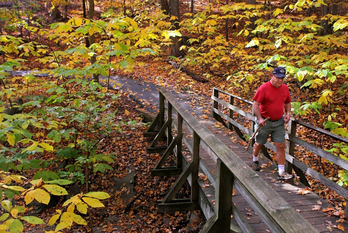 Walk through the fall colors