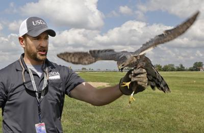 Meet the wildlife wranglers who spend their day scaring birds away from the airport in St. Louis