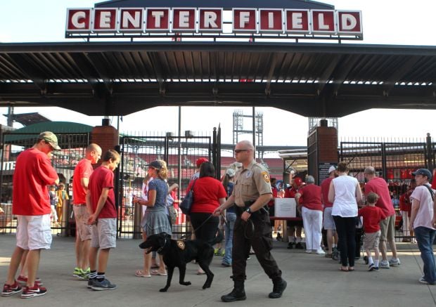 The bomb dog for the St. Louis Cardinals has his own baseball card :  r/dogswithjobs