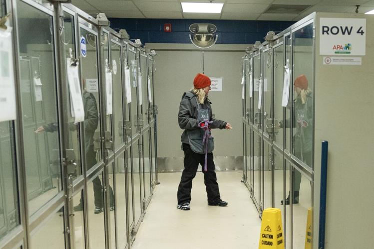 Animal shelter set to go under St. Louis County control Friday